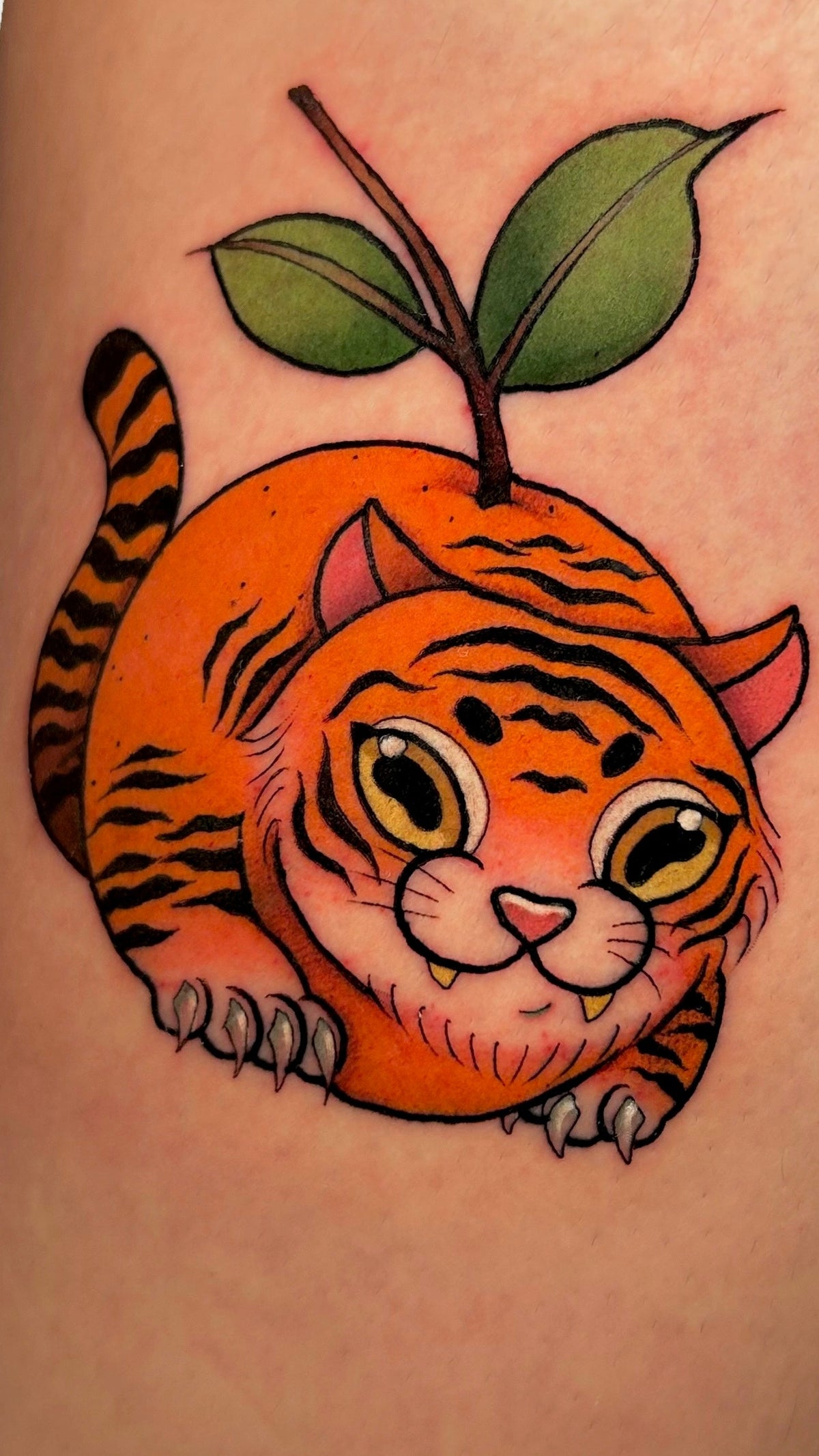 TIGRE NANAJA